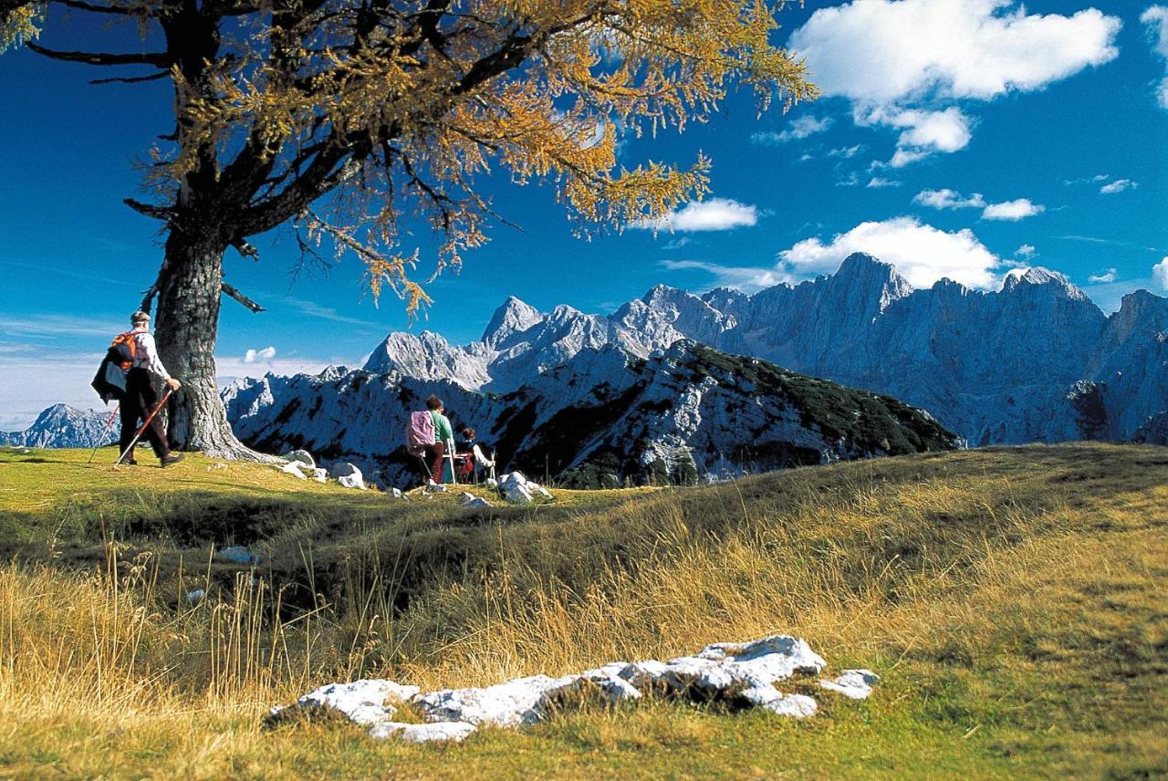 Kronau Chalet Resort Kranjska Gora Luaran gambar